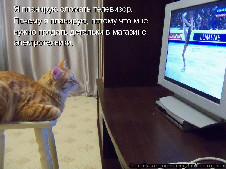 Я планирую сломать телевизор. Почему я планирую, потому что мне нужно продать детальки в магазине эле... Котоматрица: Я планирую сломать телевизор. Почему я планирую, потому что мне нужно продать детальки в магазине электротехники.