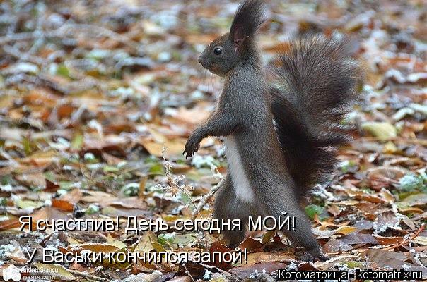 Я счастлив! День сегодня МОЙ! У Васьки кончился запой!... Котоматрица: Я счастлив! День сегодня МОЙ! У Васьки кончился запой!