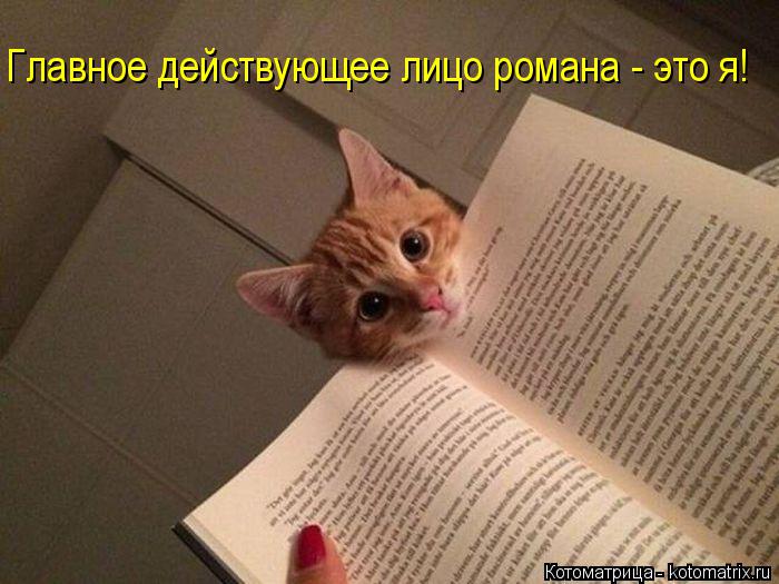 Главное действующее лицо романа - это я!... Котоматрица: Главное действующее лицо романа - это я!