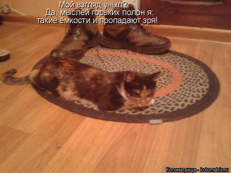 Да, мыслей горьких полон я: такие ёмкости и пропадают зря! Мой взгляд уныл?... Котоматрица: Да, мыслей горьких полон я: такие ёмкости и пропадают зря! Мой взгляд уныл?