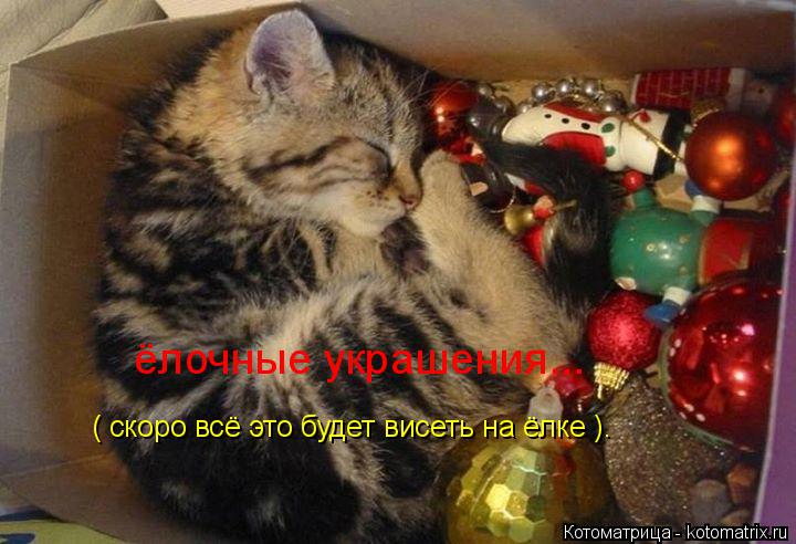 ёлочные украшения... ( скоро всё это будет висеть на ёлке ).... Котоматрица: ёлочные украшения... ( скоро всё это будет висеть на ёлке ).