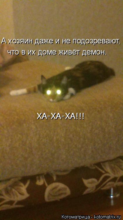 А хозяин даже и не подозревают, что в их доме живёт демон А хозяин даже и не подозревают, что в их до... Котоматрица: А хозяин даже и не подозревают, что в их доме живёт демон А хозяин даже и не подозревают, что в их доме живёт демон что в их доме живёт демон.