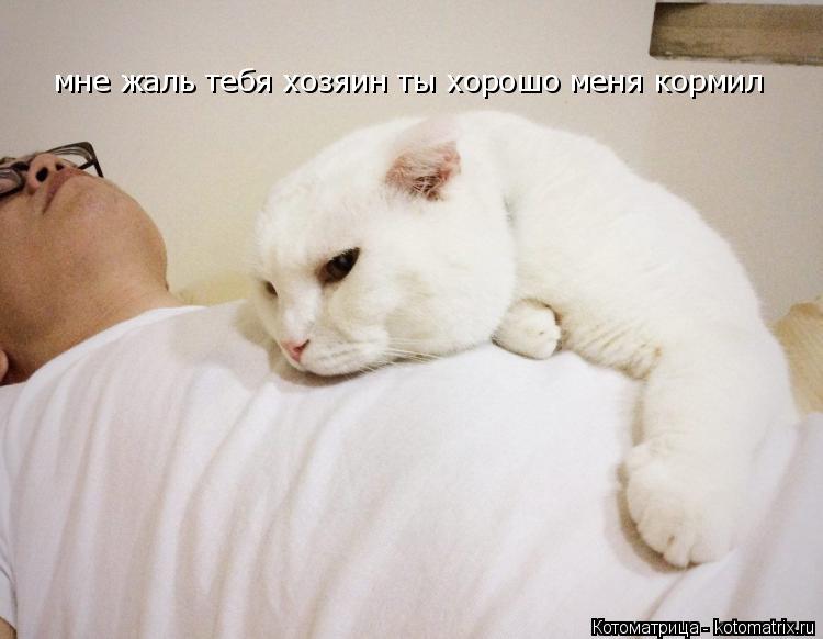 мне жаль тебя хозяин ты хорошо меня кормил... Котоматрица: мне жаль тебя хозяин ты хорошо меня кормил