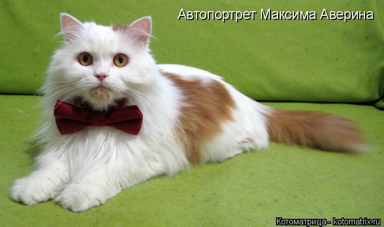Автопортрет Максима Аверина... Котоматрица: Автопортрет Максима Аверина