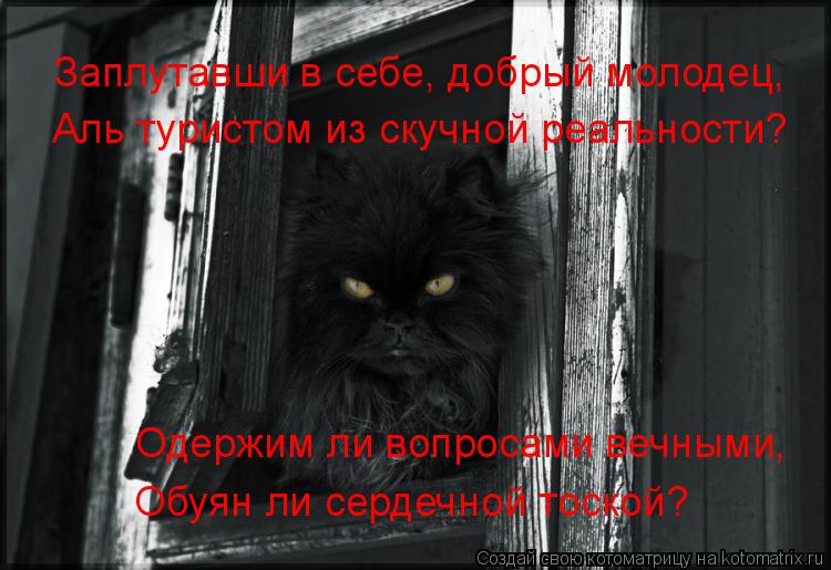 Заплутавши в себе, добрый молодец, Аль туристом из скучной реальности? Одержим ли вопросами вечными, ... Котоматрица: Заплутавши в себе, добрый молодец, Аль туристом из скучной реальности? Одержим ли вопросами вечными, Обуян ли сердечной тоской?