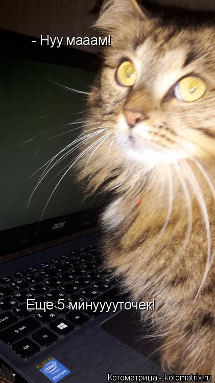 - Нуу мааам! Еще 5 минууууточек! Еще 5 минууууточек!... Котоматрица: - Нуу мааам! Еще 5 минууууточек! Еще 5 минууууточек!