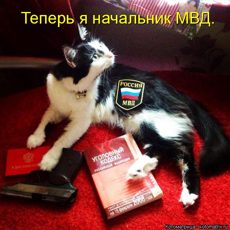 Котоматрица: Теперь я начальник МВД.