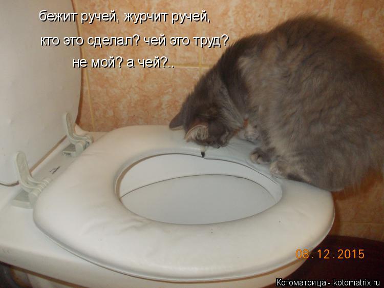 бежит ручей, журчит ручей, кто это сделал? чей это труд? не мой? а чей?..... Котоматрица: бежит ручей, журчит ручей, кто это сделал? чей это труд? не мой? а чей?..