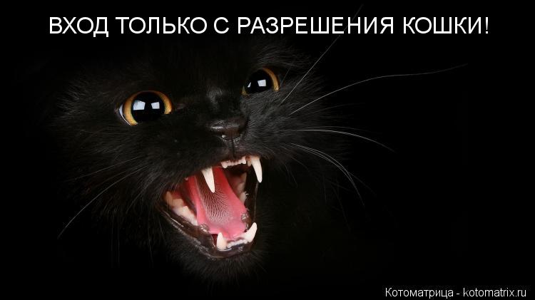 ВХОД ТОЛЬКО С РАЗРЕШЕНИЯ КОШКИ!... Котоматрица: ВХОД ТОЛЬКО С РАЗРЕШЕНИЯ КОШКИ!