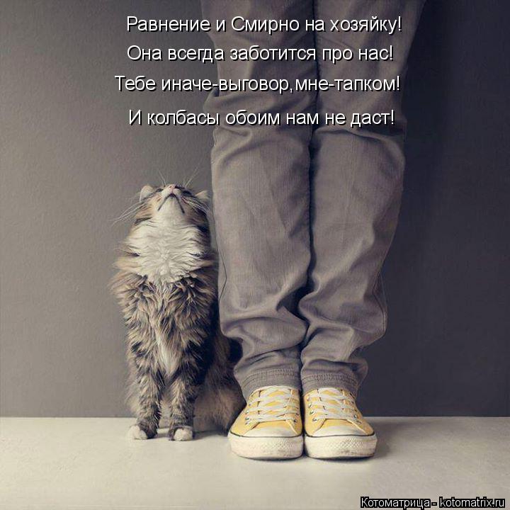 Равнение и Смирно на хозяйку! Она всегда заботится про нас! Тебе иначе-выговор,мне-тапком! И колбасы ... Котоматрица: Равнение и Смирно на хозяйку! Она всегда заботится про нас! Тебе иначе-выговор,мне-тапком! И колбасы обоим нам не даст!