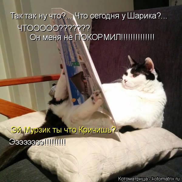 Так так ну что?... Что сегодня у Шарика?... ЧТООООО??????? Он меня не ПОКОРМИЛ!!!!!!!!!!!!!! Эй Мурзи... Котоматрица: Так так ну что?... Что сегодня у Шарика?... ЧТООООО??????? Он меня не ПОКОРМИЛ!!!!!!!!!!!!!! Эй Мурзик ты что Кричишь? Ээээээээ!!!!!!!!!