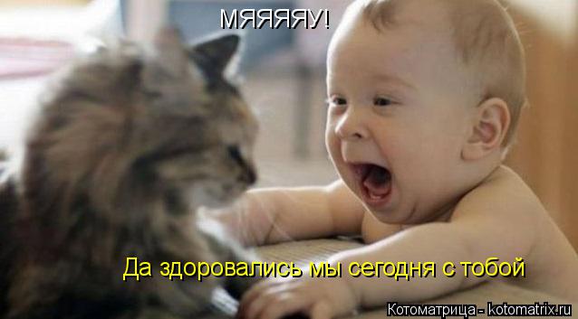 МЯЯЯЯУ! Да здоровались мы сегодня с тобой... Котоматрица: МЯЯЯЯУ! Да здоровались мы сегодня с тобой