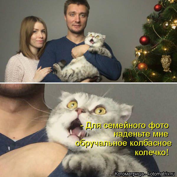 - Для семейного фото наденьте мне обручальное колбасное колечко!... Котоматрица: - Для семейного фото наденьте мне обручальное колбасное колечко!