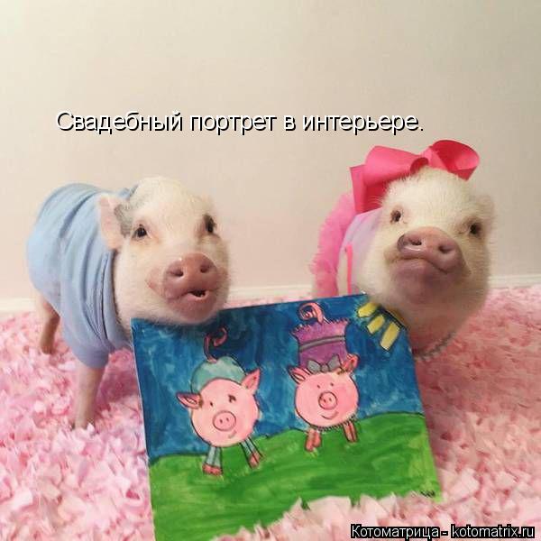 Свадебный портрет в интерьере.... Котоматрица: Свадебный портрет в интерьере.