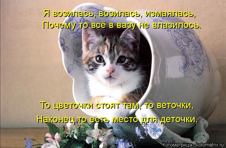 Почему то всё в вазу не влазилось. Я возилась, возилась, измаялась, То цветочки стоят там, то веточки... Котоматрица: Почему то всё в вазу не влазилось. Я возилась, возилась, измаялась, То цветочки стоят там, то веточки, Наконец то есть место для деточки.