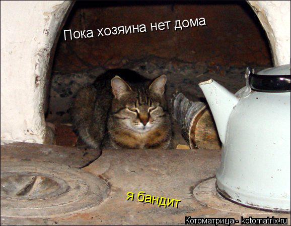Пока хозяина нет дома я бандит... Котоматрица: Пока хозяина нет дома я бандит