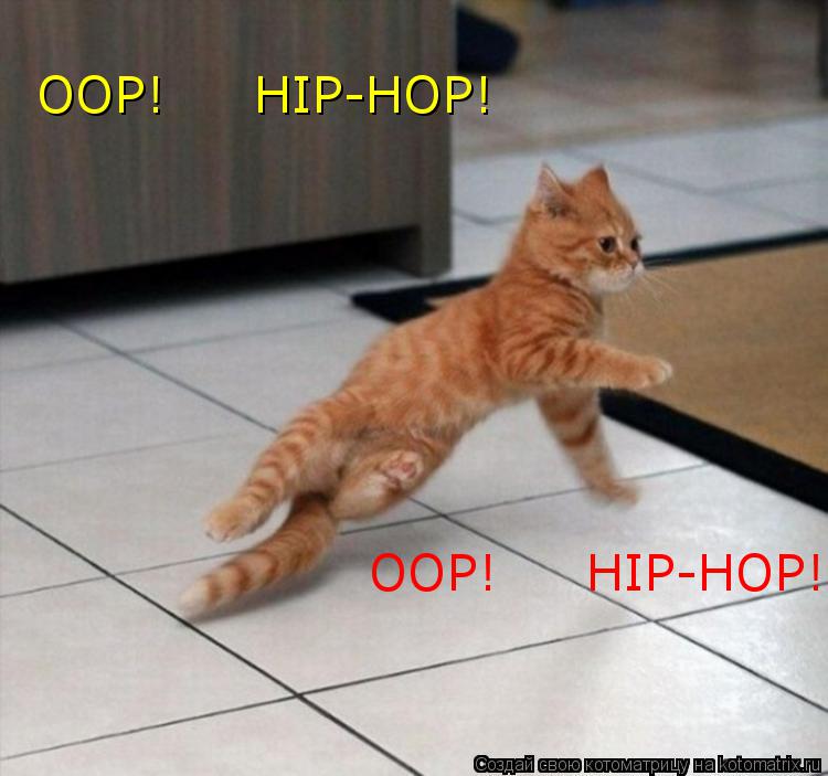 OOP! HIP-HOP! OOP! HIP-HOP!... Котоматрица: OOP! HIP-HOP! OOP! HIP-HOP!
