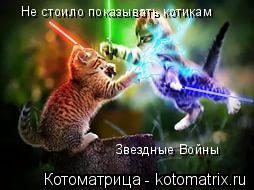 Не стоило показывать котикам Звездные Войны... Котоматрица: Не стоило показывать котикам Звездные Войны