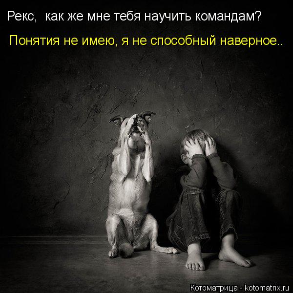Рекс, как же мне тебя научить командам? Понятия не имею, я не способный наверное..... Котоматрица: Рекс, как же мне тебя научить командам? Понятия не имею, я не способный наверное..