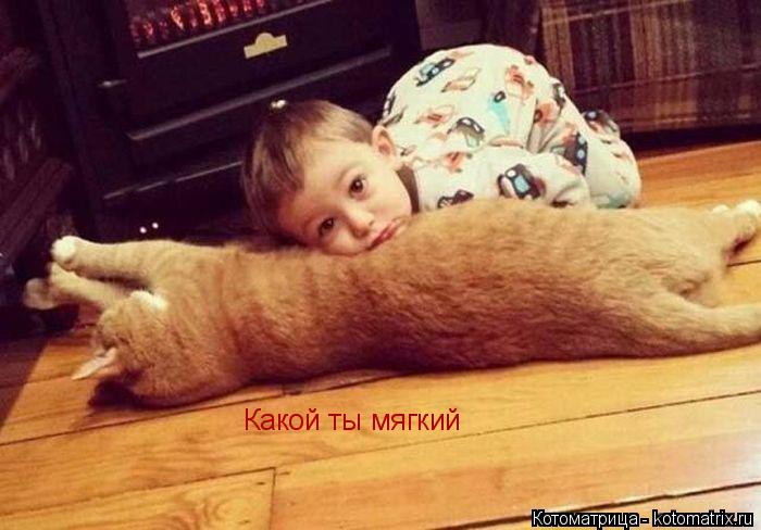 Какой ты мягкий... Котоматрица: Какой ты мягкий
