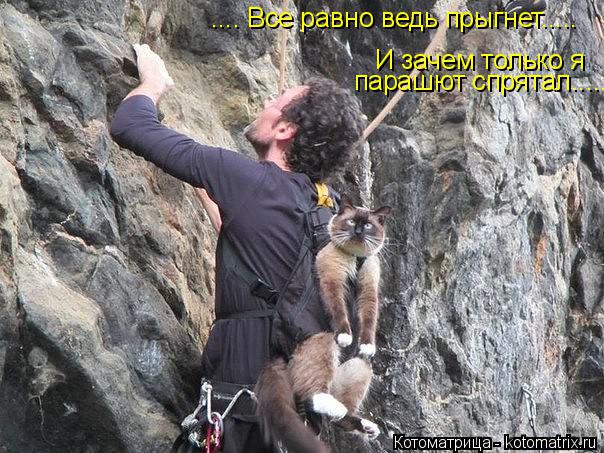 .... Все равно ведь прыгнет..... И зачем только я парашют спрятал........ Котоматрица: .... Все равно ведь прыгнет..... И зачем только я парашют спрятал.....