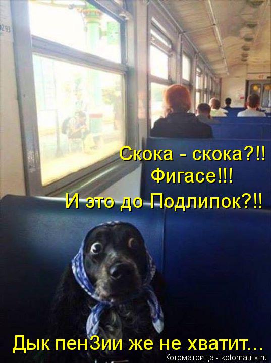 Скока - скока?!! Фигасе!!! И это до Подлипок?!! Дык пенЗии же не хватит...... Котоматрица: Скока - скока?!! Фигасе!!! И это до Подлипок?!! Дык пенЗии же не хватит...