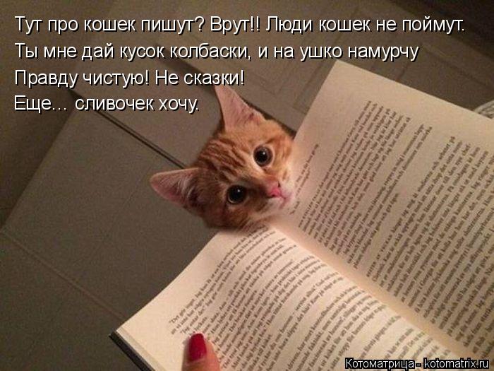 Тут про кошек пишут? Врут!! Люди кошек не поймут. Ты мне дай кусок колбаски, и на ушко намурчу Правд... Котоматрица: Тут про кошек пишут? Врут!! Люди кошек не поймут. Ты мне дай кусок колбаски, и на ушко намурчу Правду чистую! Не сказки! Еще… сливочек хочу.