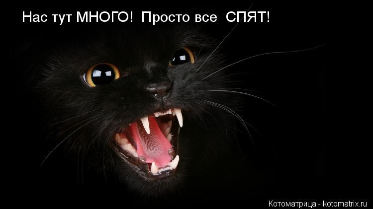 Нас тут МНОГО! Просто все СПЯТ!... Котоматрица: Нас тут МНОГО! Просто все СПЯТ!