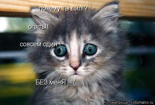 почему ты пил!? опять!! совсем один ! БЕЗ менЯ !=(... Котоматрица: почему ты пил!? опять!! совсем один ! БЕЗ менЯ !=(