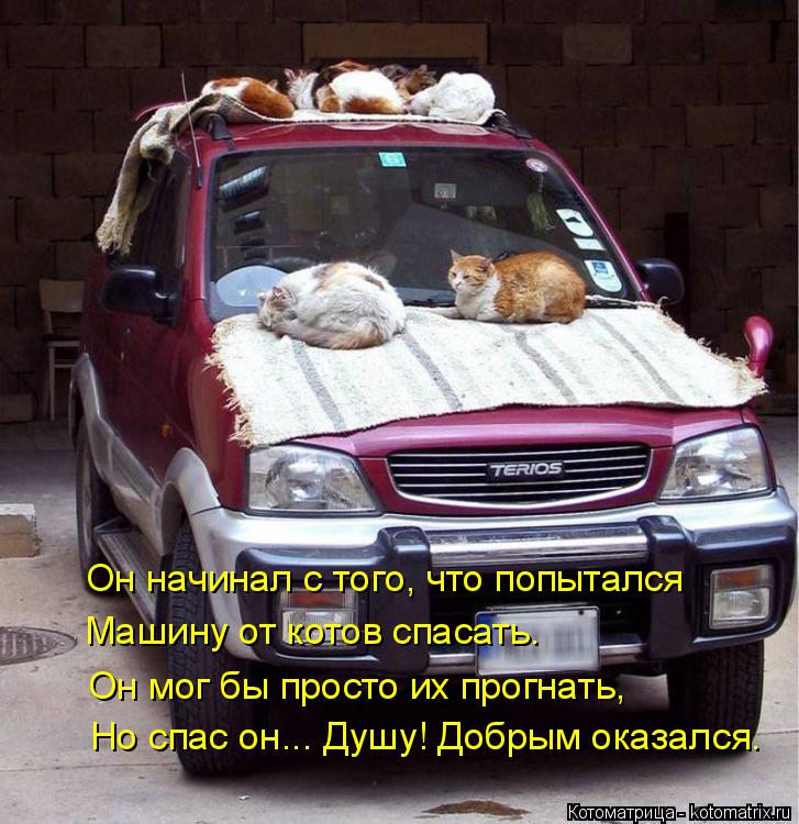 Он начинал с того, что попытался Машину от котов спасать. Он мог бы просто их прогнать, Но спас он...... Котоматрица: Он начинал с того, что попытался Машину от котов спасать. Он мог бы просто их прогнать, Но спас он... Душу! Добрым оказался.