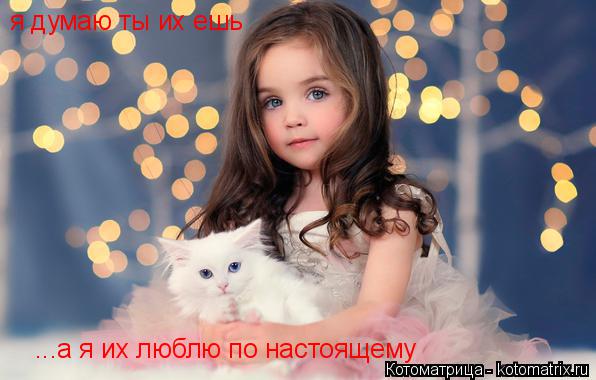 я думаю ты их ешь ...а я их люблю по настоящему... Котоматрица: я думаю ты их ешь ...а я их люблю по настоящему