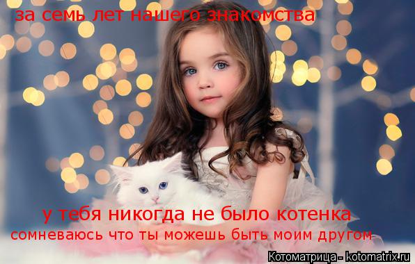 за семь лет нашего знакомства у тебя никогда не было котенка сомневаюсь что ты можешь быть моим друго... Котоматрица: за семь лет нашего знакомства у тебя никогда не было котенка сомневаюсь что ты можешь быть моим другом