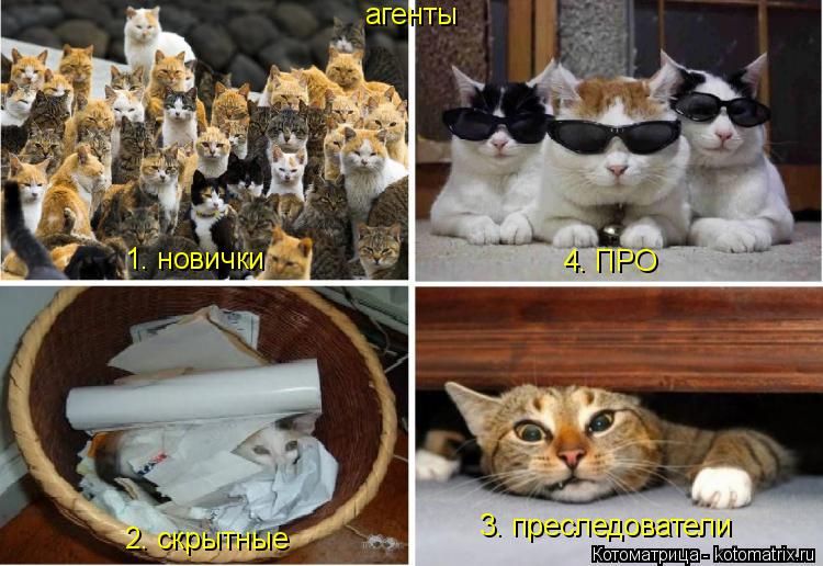 агенты 1. новички 2. скрытные 3. преследователи 4. ПРО... Котоматрица: агенты 1. новички 2. скрытные 3. преследователи 4. ПРО