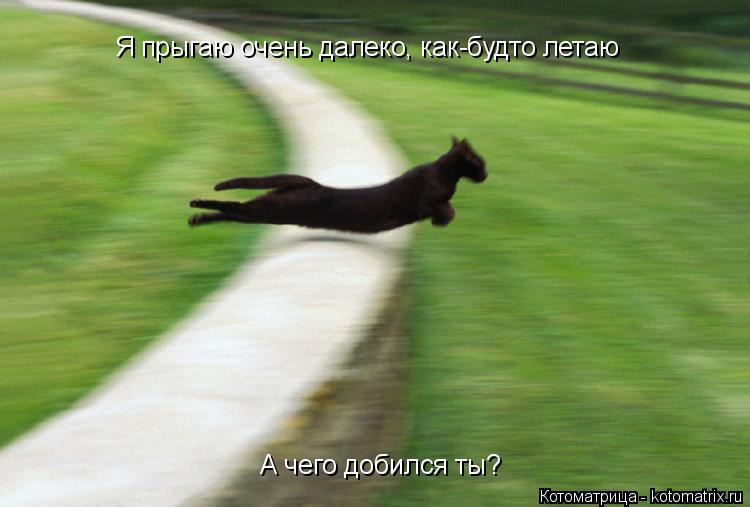 А чего добился ты? Я прыгаю очень далеко, как-будто летаю... Котоматрица: А чего добился ты? Я прыгаю очень далеко, как-будто летаю