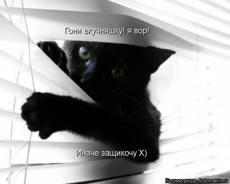 Гони вкучняшку! я вор! Иначе защикочу X)... Котоматрица: Гони вкучняшку! я вор! Иначе защикочу X)