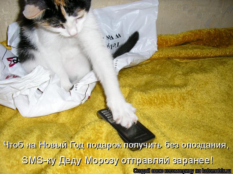 Чтоб на Новый Год подарок получить без опоздания, SMS-ку Деду Морозу отправляй заранее!... Котоматрица: Чтоб на Новый Год подарок получить без опоздания, SMS-ку Деду Морозу отправляй заранее!