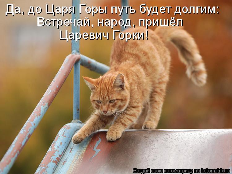 Да, до Царя Горы путь будет долгим: Встречай, народ, пришёл Царевич Горки!... Котоматрица: Да, до Царя Горы путь будет долгим: Встречай, народ, пришёл Царевич Горки!
