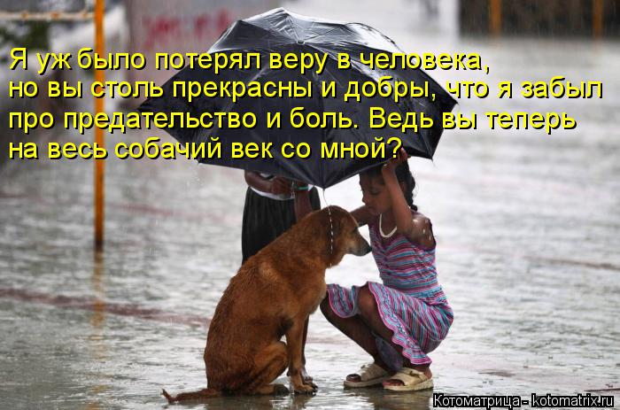 Я уж было потерял веру в человека, но вы столь прекрасны и добры, что я забыл про предательство и бол... Котоматрица: Я уж было потерял веру в человека, но вы столь прекрасны и добры, что я забыл про предательство и боль. Ведь вы теперь на весь собачий век со м