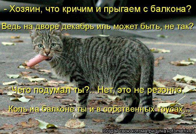 Чего подумал ты?.. Нет, это не резонно, Коль на балконе ты и в собственных трусах... - Хозяин, что ... Котоматрица: Чего подумал ты?.. Нет, это не резонно, Коль на балконе ты и в собственных трусах... - Хозяин, что кричим и прыгаем с балкона? Ведь на дворе дека