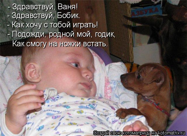 - Здравствуй, Ваня! - Здравствуй, Бобик. - Как хочу с тобой играть! - Подожди, родной мой, годик, Как... Котоматрица: - Здравствуй, Ваня! - Здравствуй, Бобик. - Как хочу с тобой играть! - Подожди, родной мой, годик, Как смогу на ножки встать.