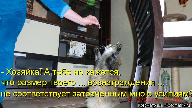 - Хозяйка! А тебе не кажется, что размер твоего ... вознаграждения ... не соответствует затраченным ... Котоматрица: - Хозяйка! А тебе не кажется, что размер твоего ... вознаграждения ... не соответствует затраченным мною усилиям?