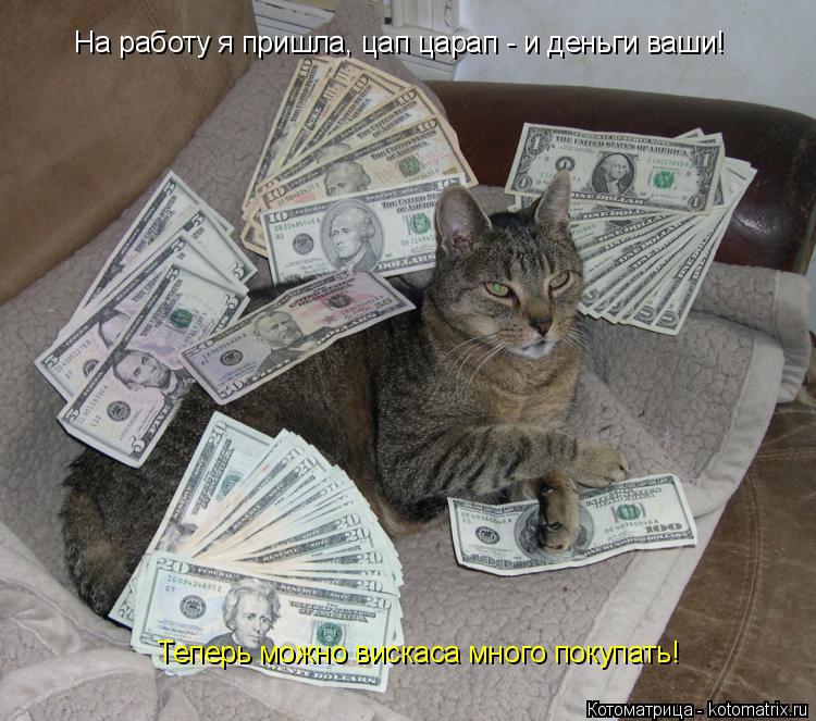 На работу я пришла, цап царап - и деньги ваши! Теперь можно вискаса много покупать!... Котоматрица: На работу я пришла, цап царап - и деньги ваши! Теперь можно вискаса много покупать!