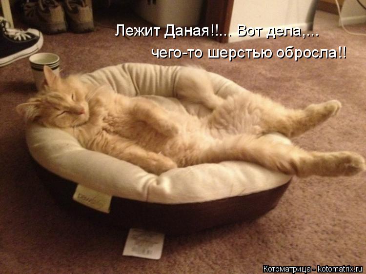 Лежит Даная!!... Вот дела,... чего-то шерстью обросла!!... Котоматрица: Лежит Даная!!... Вот дела,... чего-то шерстью обросла!!