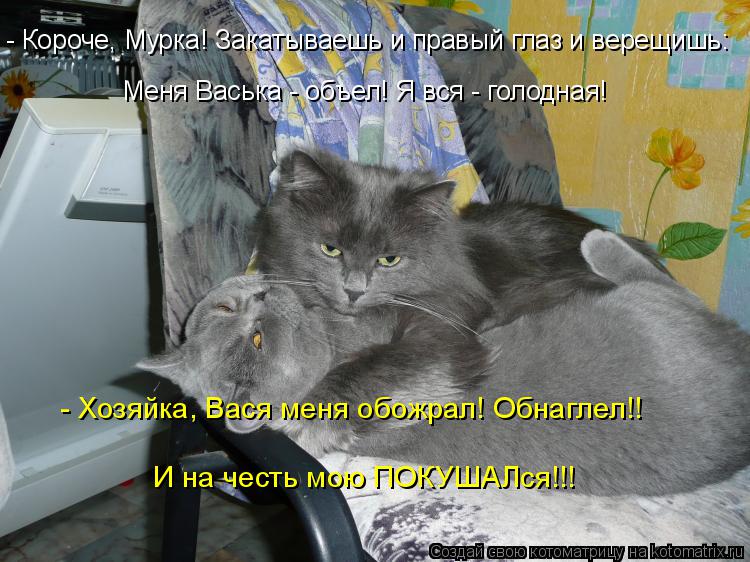 - Короче, Мурка! Закатываешь и правый глаз и верещишь: Меня Васька - объел! Я вся - голодная! - Хозя... Котоматрица: - Короче, Мурка! Закатываешь и правый глаз и верещишь: Меня Васька - объел! Я вся - голодная! - Хозяйка, Вася меня обожрал! Обнаглел!! И на честь