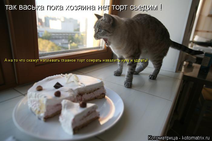 так васька пока хозяина нет торт сьедим ! А на то что скажут наплевать главное торт сожрать навалить ... Котоматрица: так васька пока хозяина нет торт сьедим ! А на то что скажут наплевать главное торт сожрать навалить кучу и удрать!