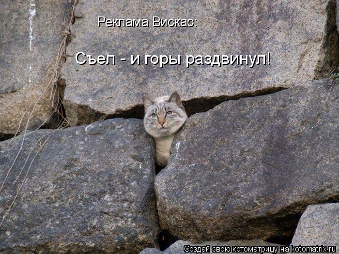 Реклама Вискас: Съел - и горы раздвинул!... Котоматрица: Реклама Вискас: Съел - и горы раздвинул!