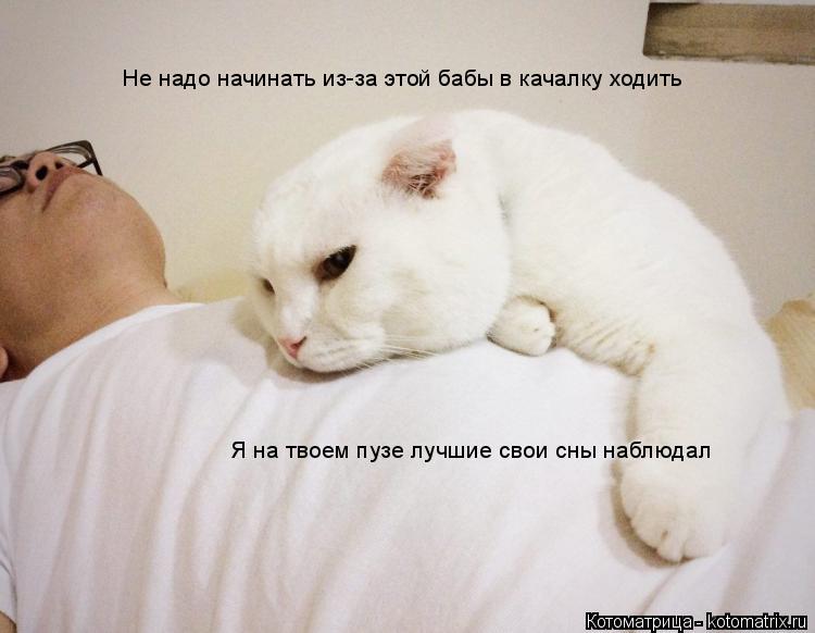 Я на твоем пузе лучшие свои сны наблюдал Не надо начинать из-за этой бабы в качалку ходить... Котоматрица: Я на твоем пузе лучшие свои сны наблюдал Не надо начинать из-за этой бабы в качалку ходить