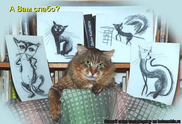 А Вам слабо?... Котоматрица: А Вам слабо?