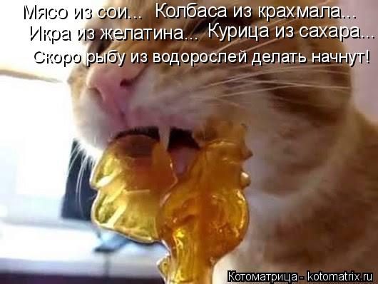 Мясо из сои... Колбаса из крахмала... Икра из желатина... Курица из сахара... Скоро рыбу из водоросле... Котоматрица: Мясо из сои... Колбаса из крахмала... Икра из желатина... Курица из сахара... Скоро рыбу из водорослей делать начнут!