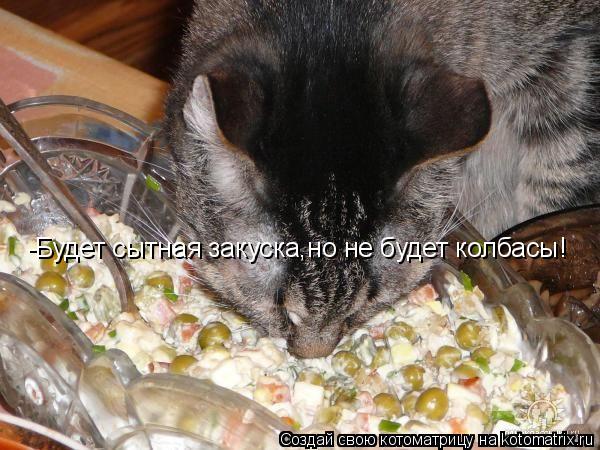 -Будет сытная закуска,но не будет колбасы!... Котоматрица: -Будет сытная закуска,но не будет колбасы!